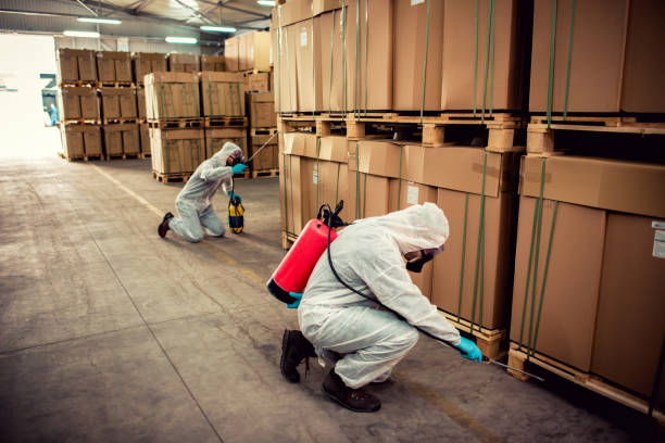 Best Exterminator Services  in Monticello, IA