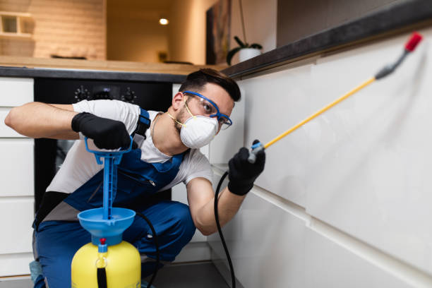 Best Ant Control Services  in Monticello, IA