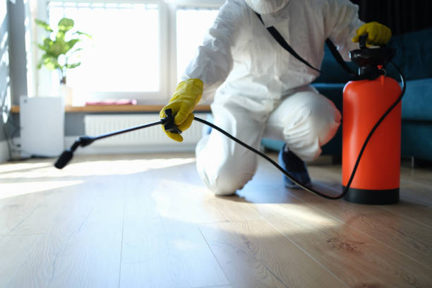 Best Affordable Pest Control Services  in Monticello, IA