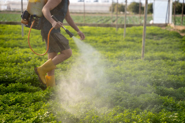 Best Wildlife Control Services  in Monticello, IA