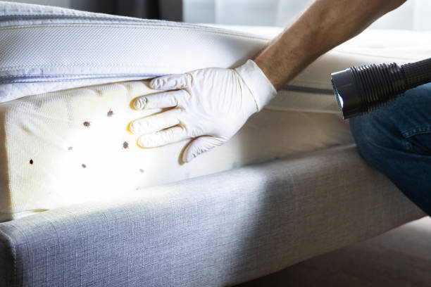Best Pest Control Near Me  in Monticello, IA