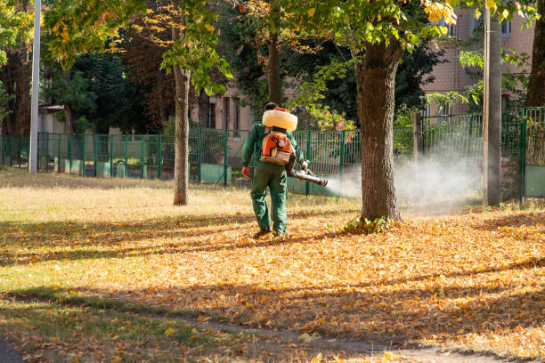 Pest Control for Restaurants in Monticello, IA