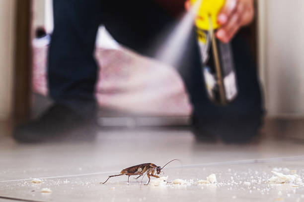 Best Mosquito Control Services  in Monticello, IA
