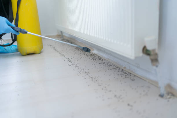 Best Ant Control Services  in Monticello, IA