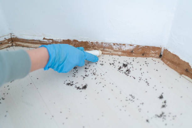 Best Pest Control for Restaurants  in Monticello, IA